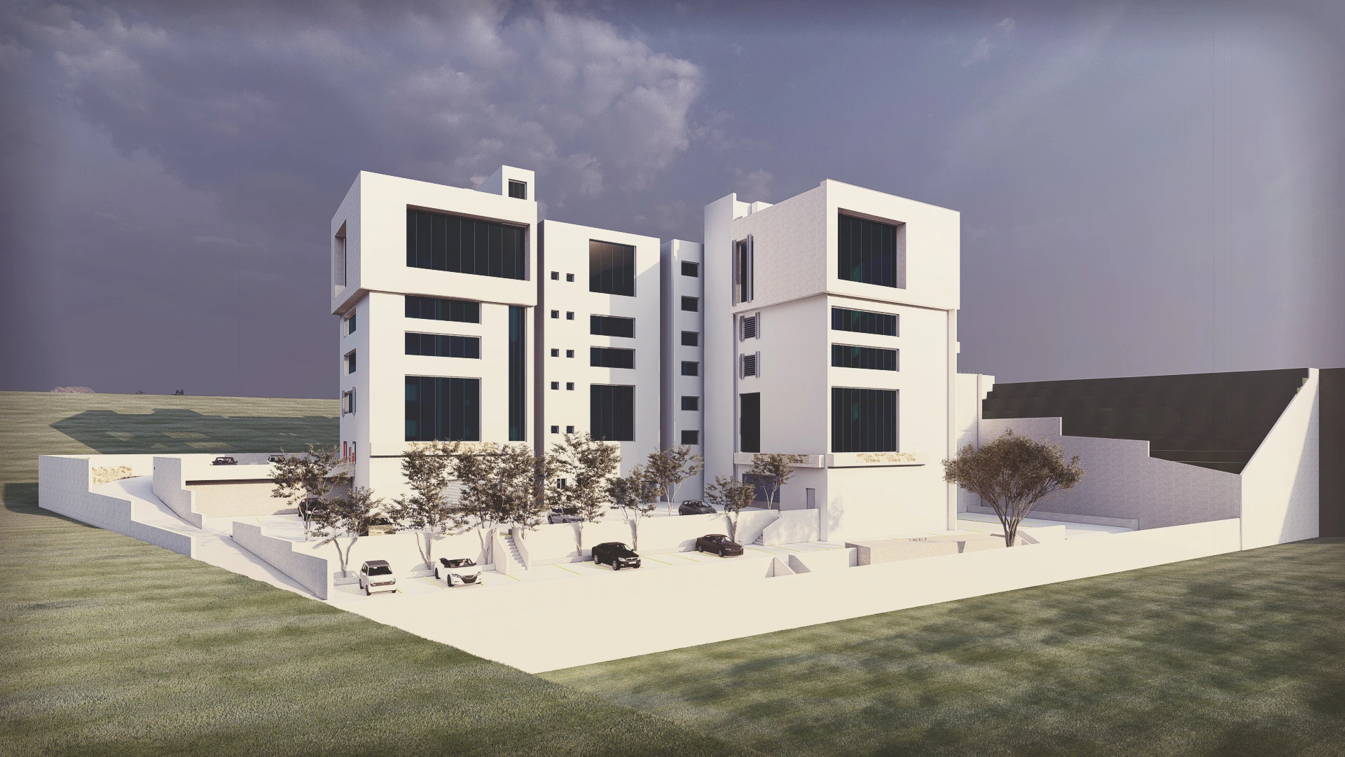 صورة المشروع 1